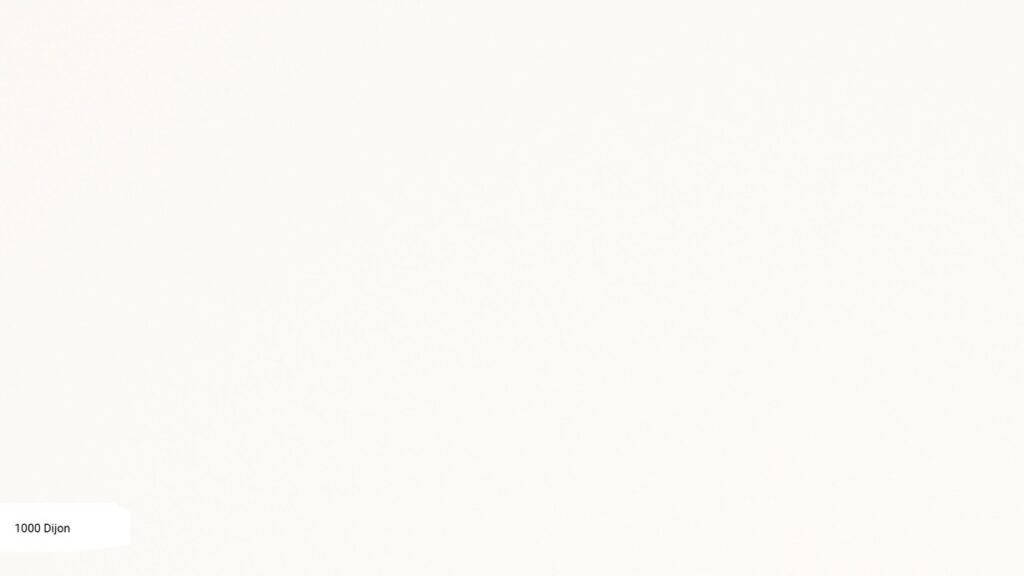 1000 Dijonа ZOOM