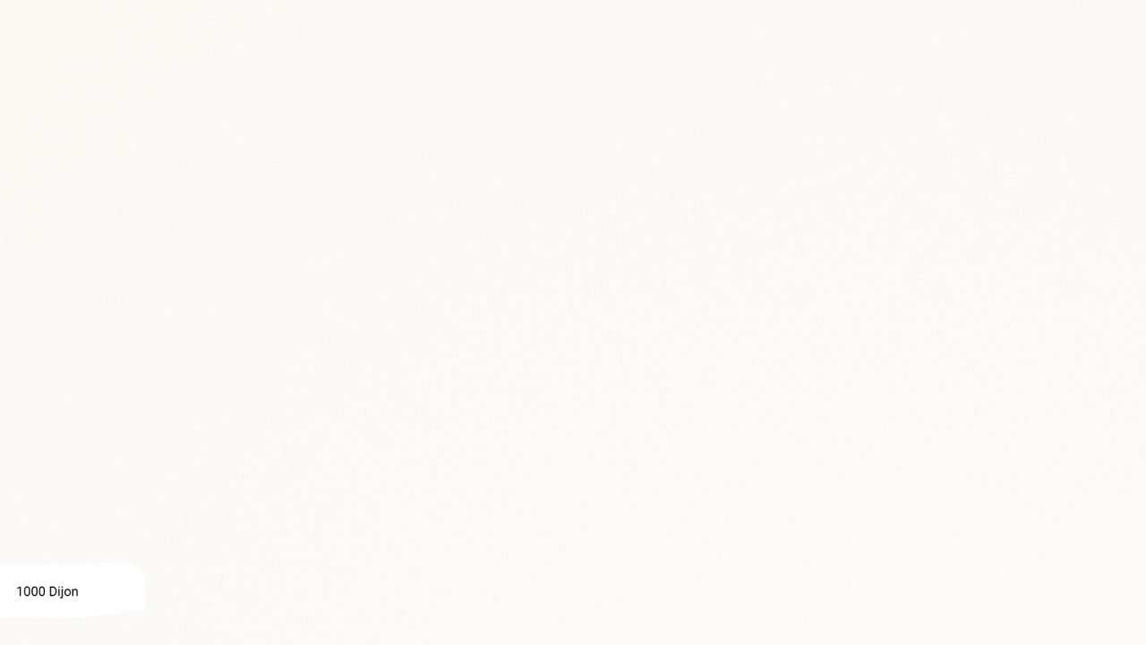 1000 Dijonа ZOOM