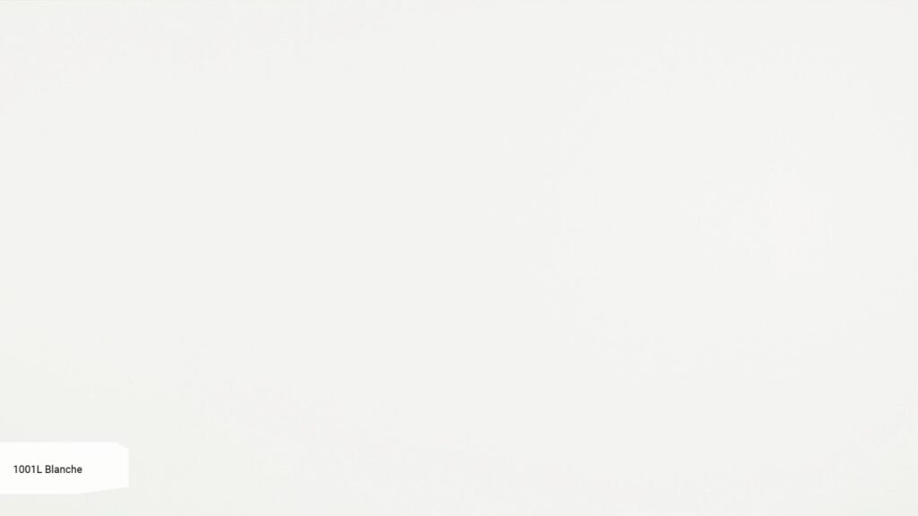 1001L Blanche zoom