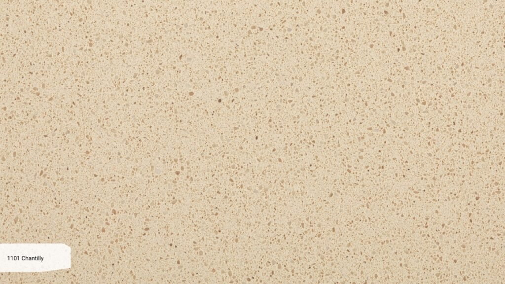 1101 Chantilly zoom v3