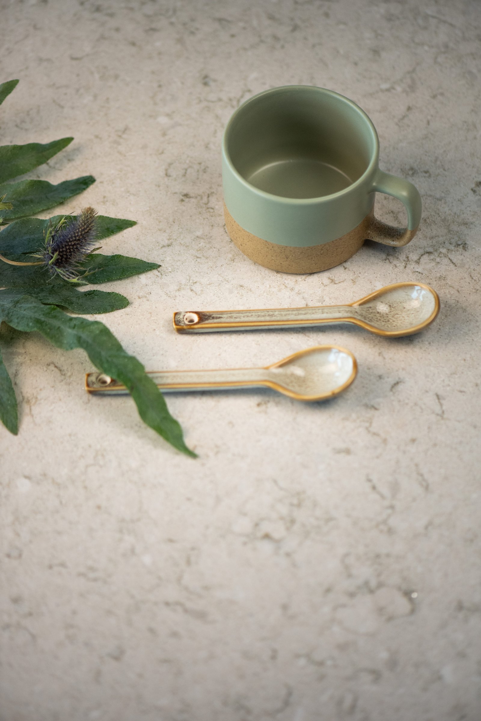 2024 Wild Yucca beauty shot 02 scaled