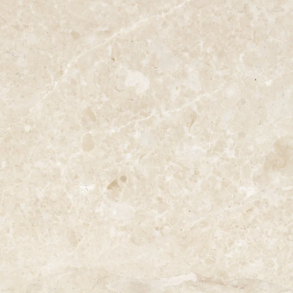 2288305d44.jpg
