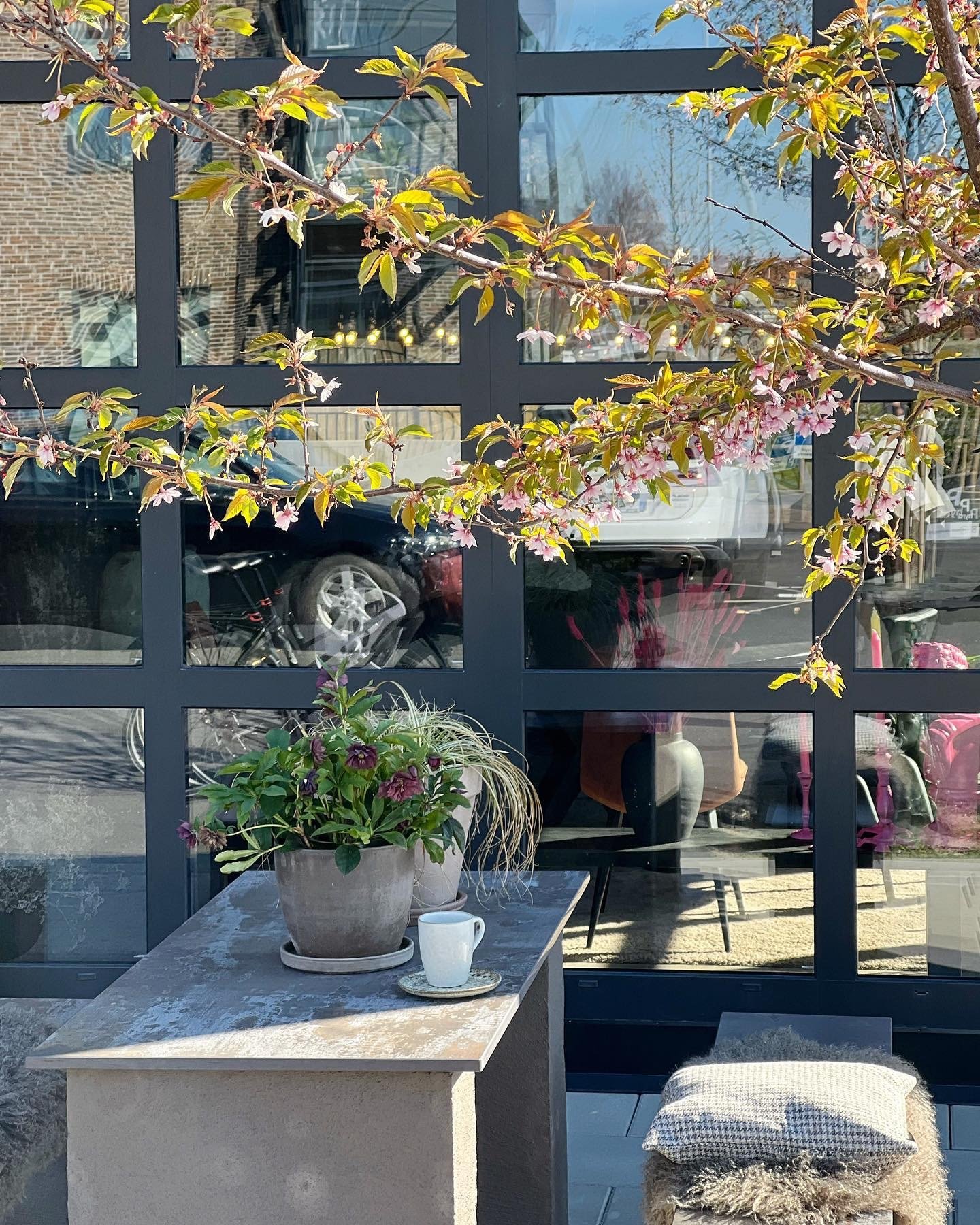 663A29B8 EC4D 463C BAEA68242C5B1DA0