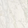 755e082313.jpg
