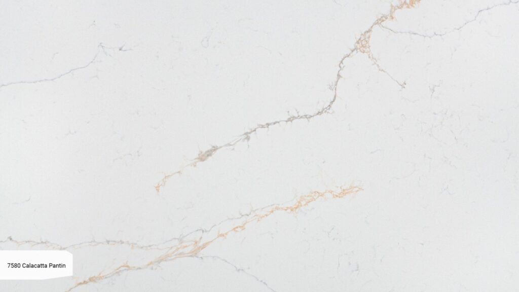 7580 Calacatta Pantin zoom
