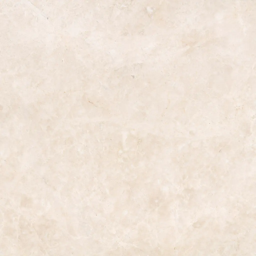 806b5d6212.jpg