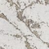 9060 Patagonia Mortinica zoom
