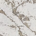 9060_Patagonia_Mortinica_zoom 9060 Patagonia Mortinica zoom