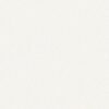 Absolute-White--zoom Absolute White zoom