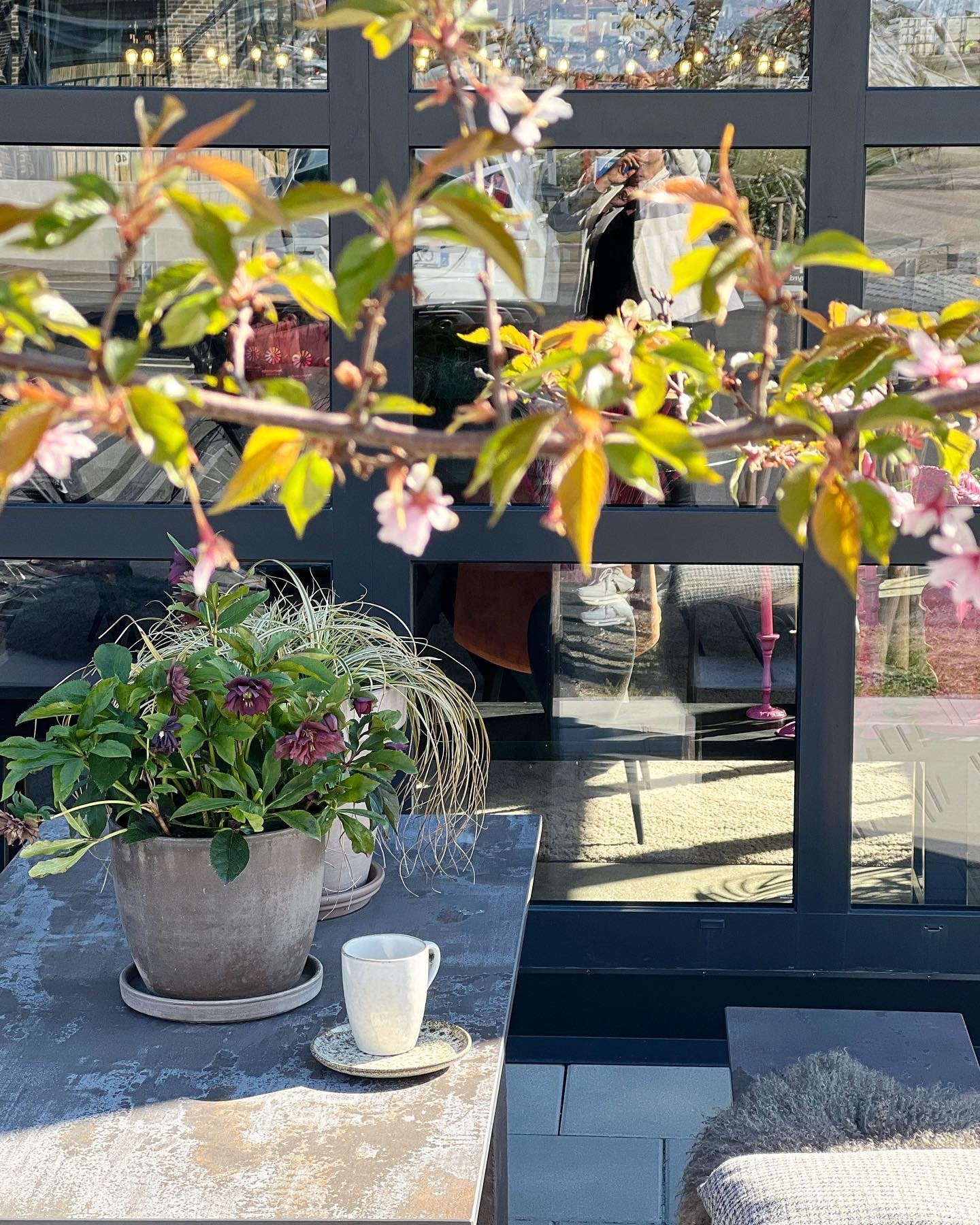 B58B0986 B4F0 4014 ACF5E862C4EFA76F