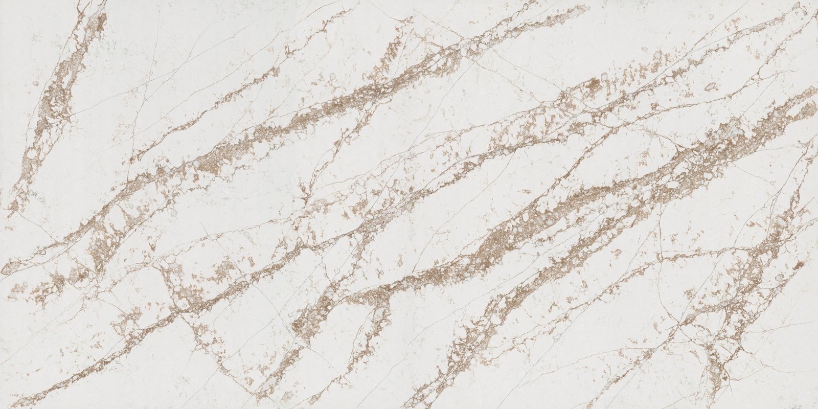 Bronze Coast SLAB scaled