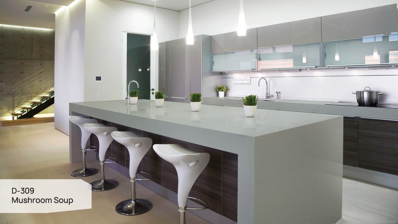 D 309 Mushroom Soup 3