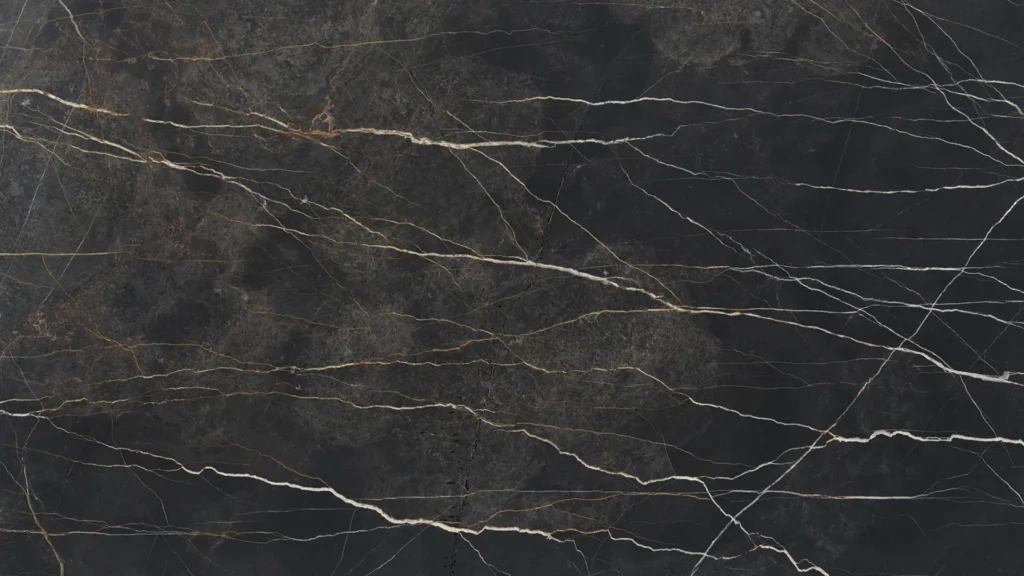 Port20Laurent PLAURE 1920x1080 2 brossovecchio