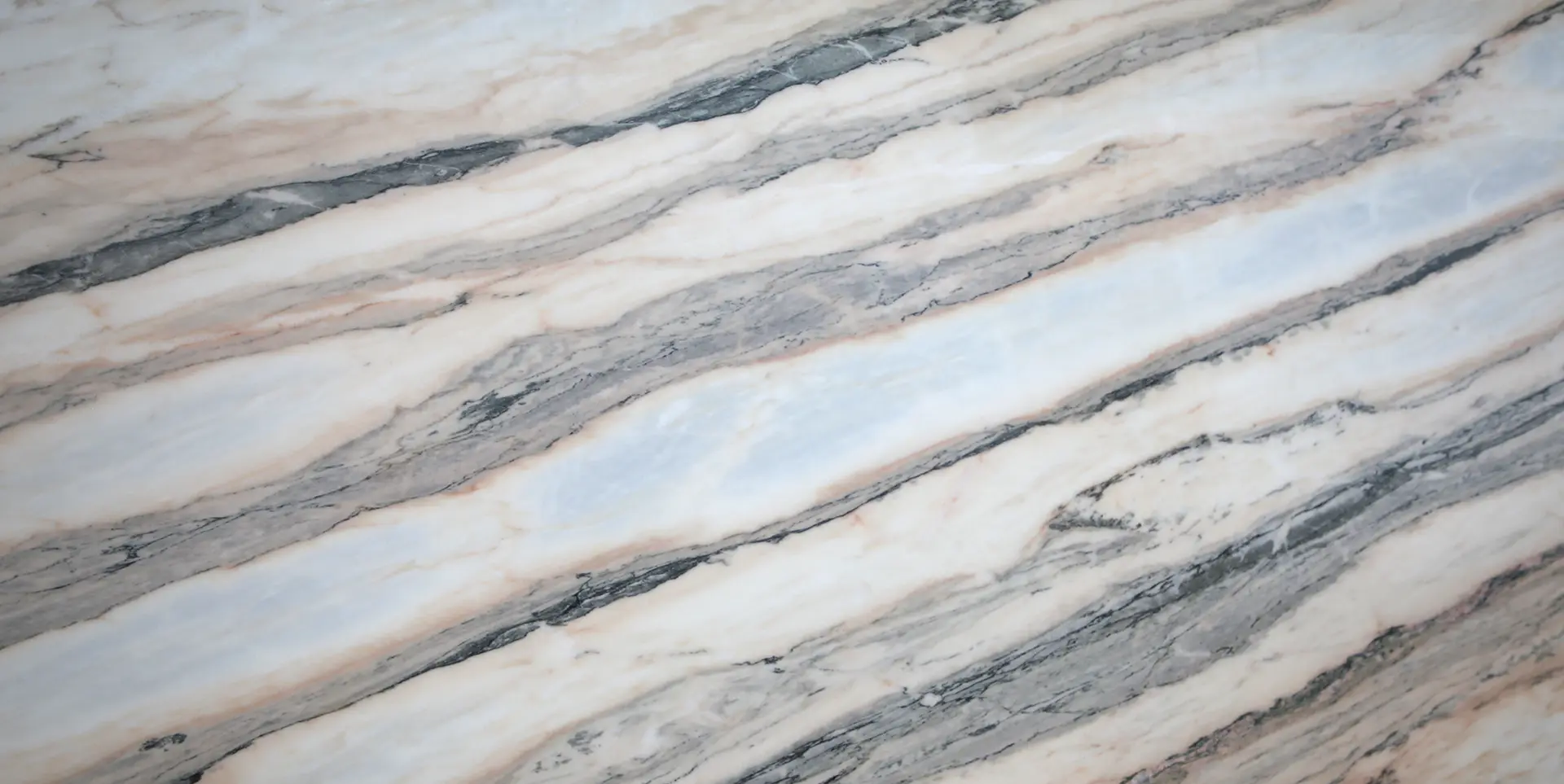 Rose20Aurore ROSE 1920x1080 polished 1