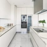 Statuario Leonardo int v2