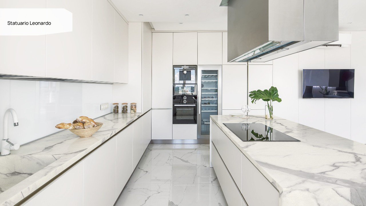 Statuario Leonardo int v2