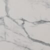Statuario Leonardo zoom v2