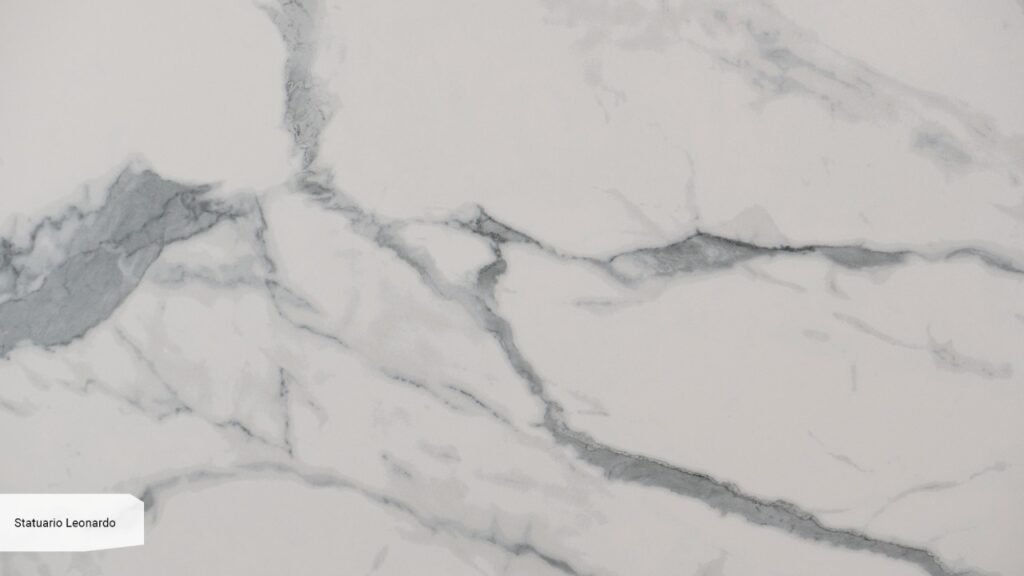 Statuario Leonardo zoom v2