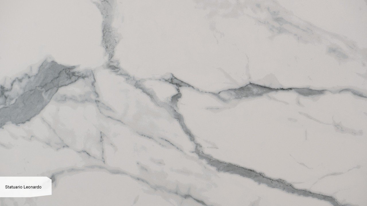 Statuario Leonardo zoom v2