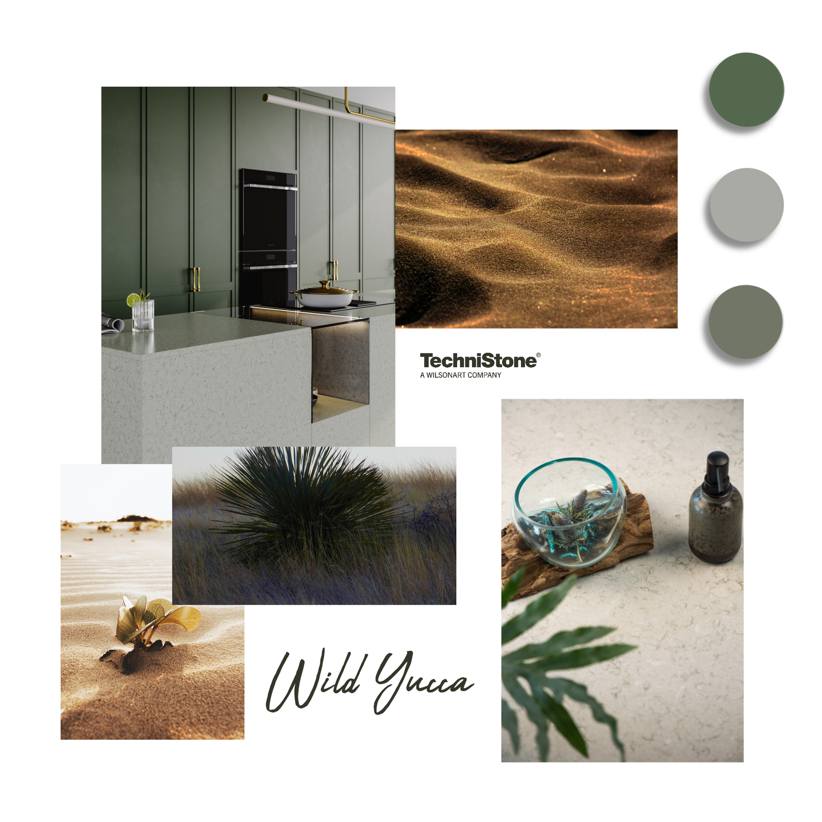 Wild Yucca multiboard 3