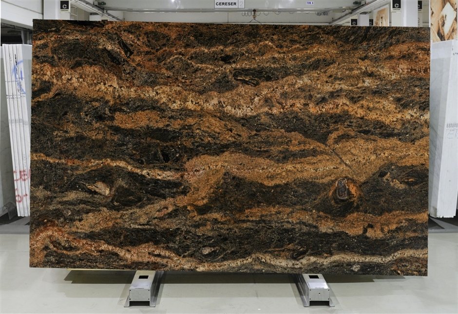 zm_0646-2113 zm 0646 2113